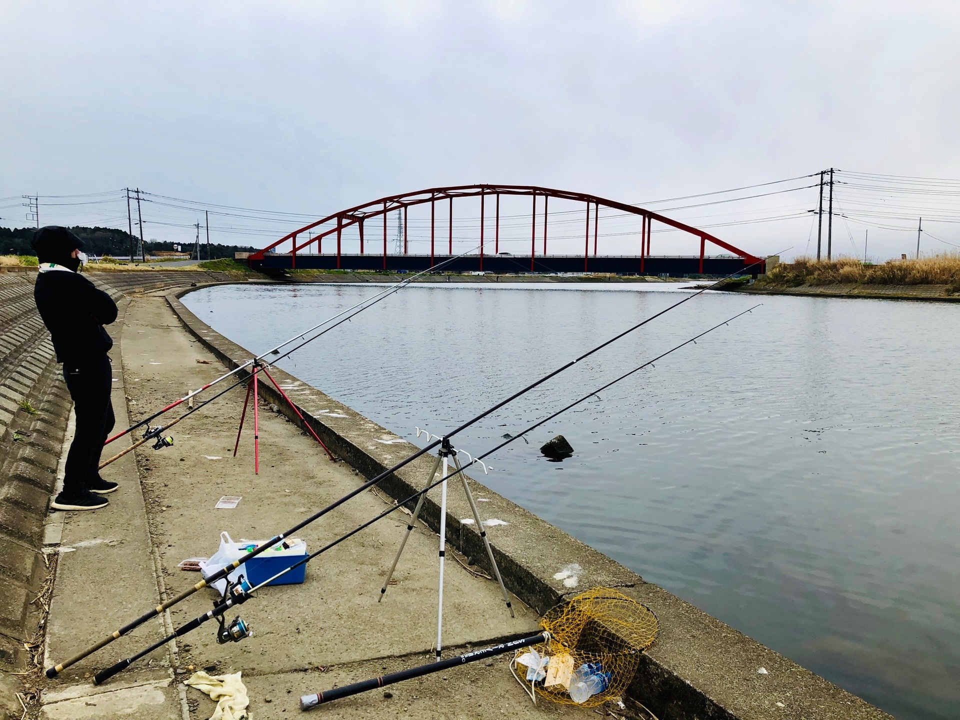 涸沼川セイゴ釣り ２０１９初釣行 穏やかなることを学べ 釣り日誌