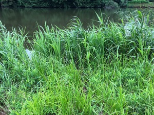 image48.jpeg